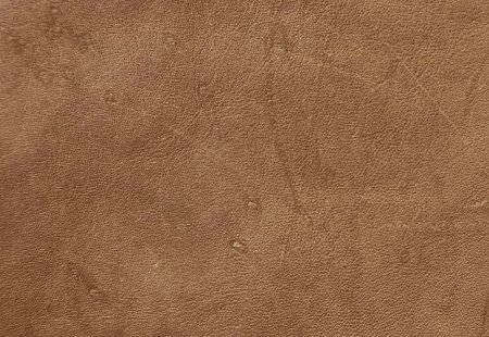 Leather: tick bites