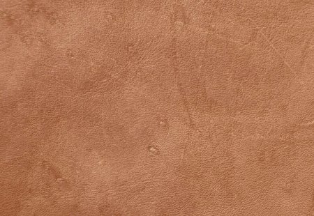Tick bites may be used