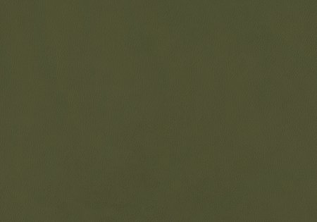 35 - olive 