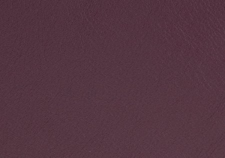 109 - eggplant 
