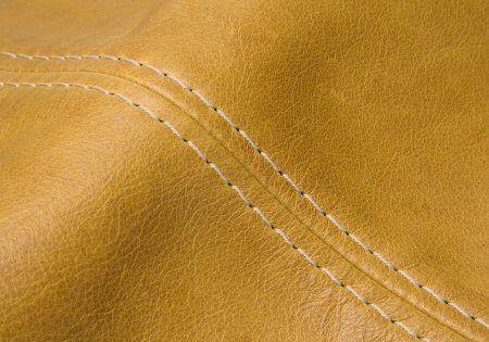 Z83/52 - kurkuma  - thread #861