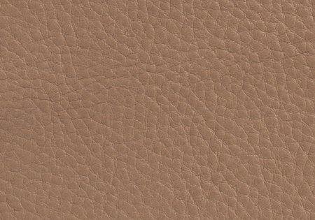21 - taupe 